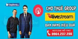 thue-group-facebook-ban-hang