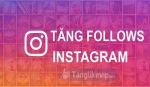 tang-follow-instagram