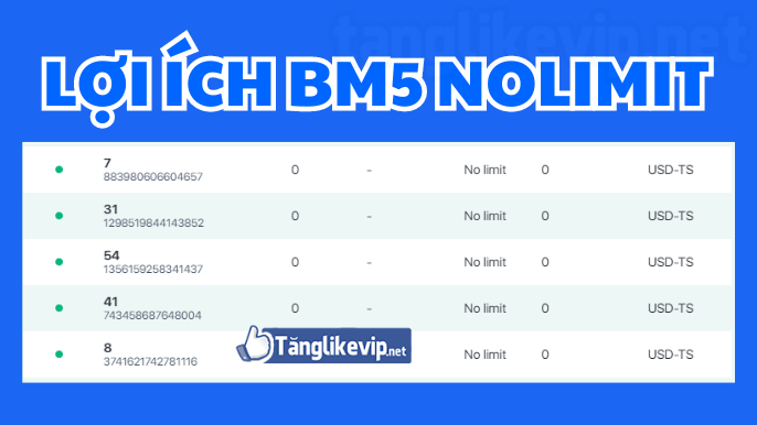 Loi-ich-cua-viec-tao-BM5-Facebook-NOLIMIT-khong-limit