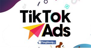 chạy quảng cáo tik tok