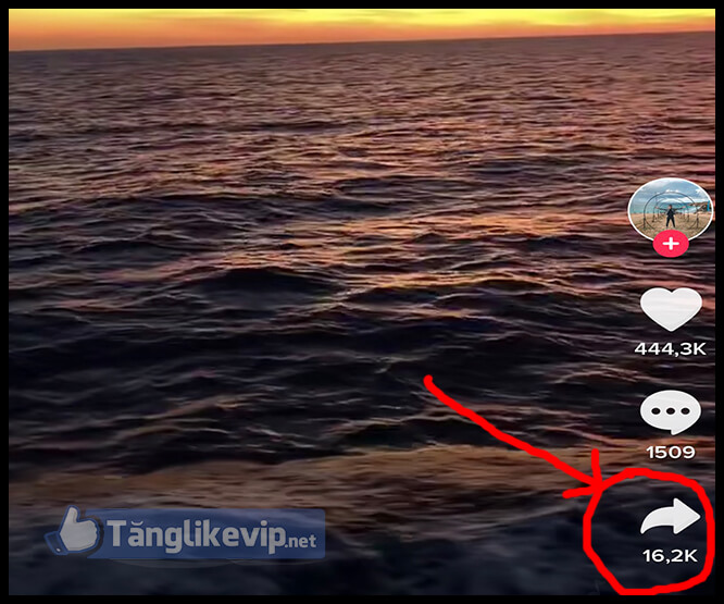 tang-share-chia-se-video-tik-tok