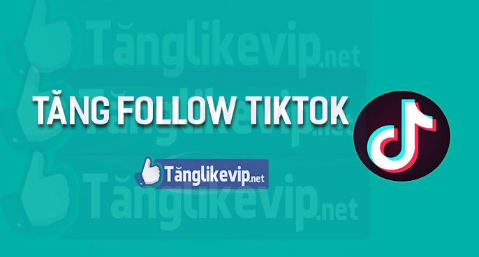 Dịch Vụ Tăng Follow TikTok, Tăng Người Theo Dõi Tik Tok tang-follow-tiktok-tang-theo-doi-tiktok