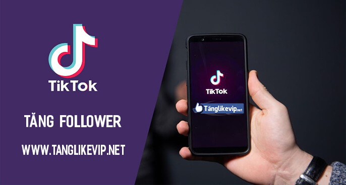 tang-theo-doi-follow-tik-tok