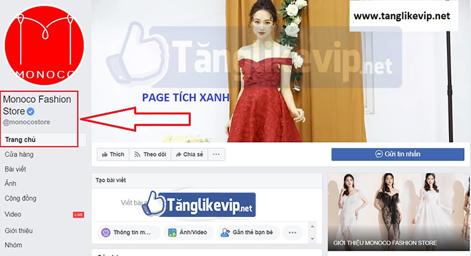 Cho Thuê Fanpage Tích Xanh và Chạy Quảng Cáo Livestream dich-vu-thue-page-tich-xanh