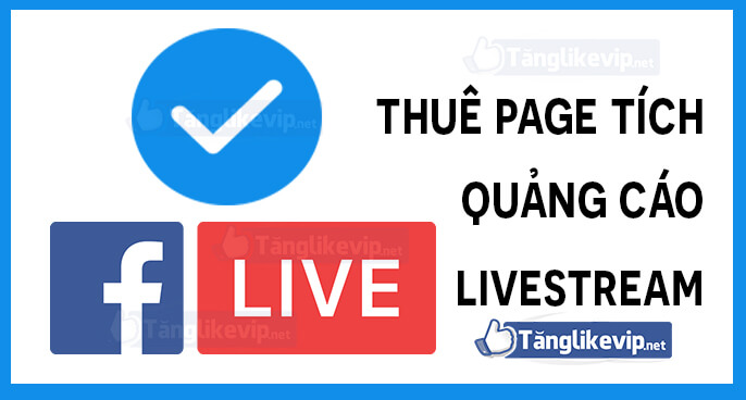 thue-page-tich-xanh-quang-cao-livestream-ads