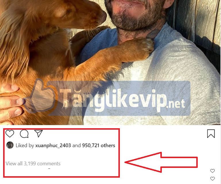 tang-binh-luan-comment-instagram