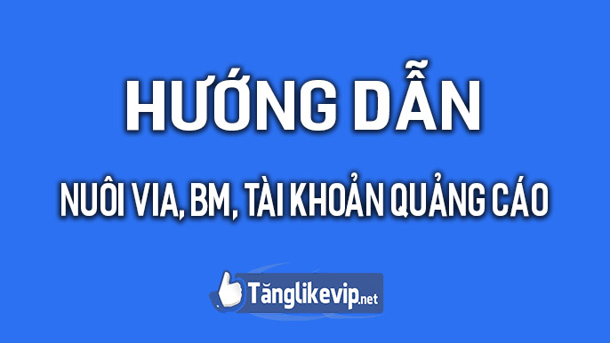 huong-dan-nuoi-via-bm-tai-khoan-quang-cao