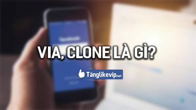 Via Va Clone La Gi Cach Mua Via Clone Facebook Uy Tin