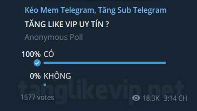 dich-vu-tang-vote-telegram