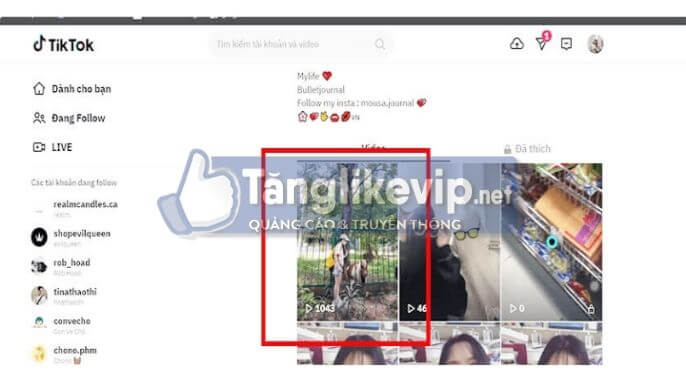 3 web hack Follow Tik Tok, hack tym TikTok miễn phí phien-ban-fbsub-de