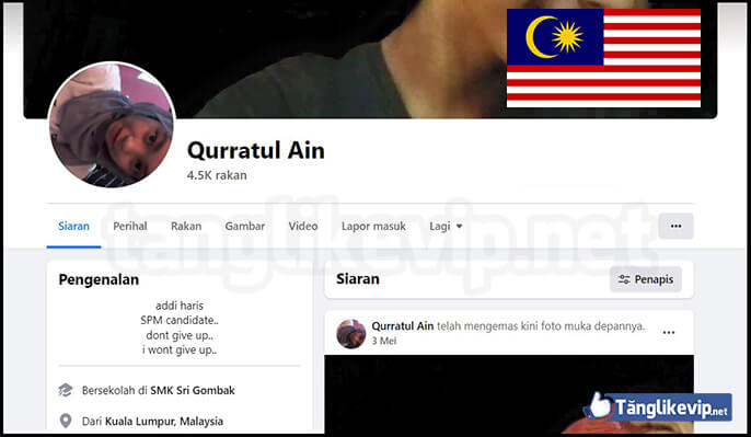 Buy Malaysia Facebook Accounts | Aged PVA Reinstated Cheap buy-malaysia-facebook-accounts-aged