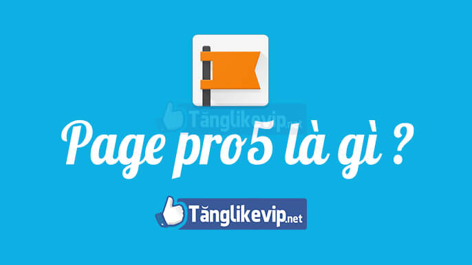 fanpage-pro5-facebook-profile-la-gi