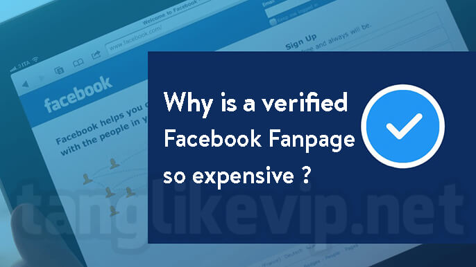 Buy Verified Facebook Pages - Fans page Blue Tick Badge buy-verified-Facebook-Fanpage-so-expensive