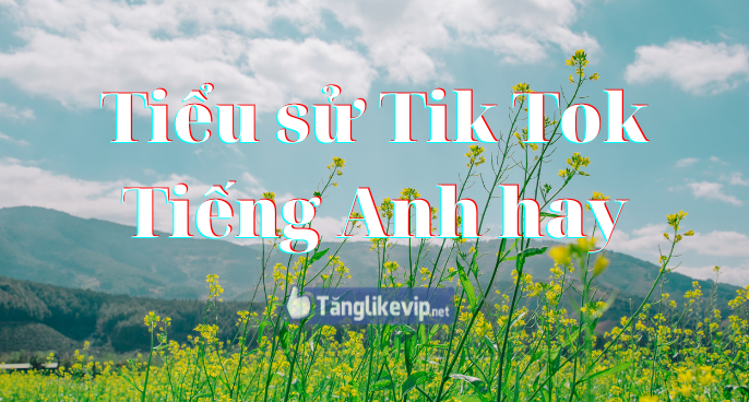 Tiểu Sử Tik Tok Hay Nhất 250+ Tên Tiểu Sử TikTok Độc Đáo Tiểu sử Tik Tok Tiếng Anh hay