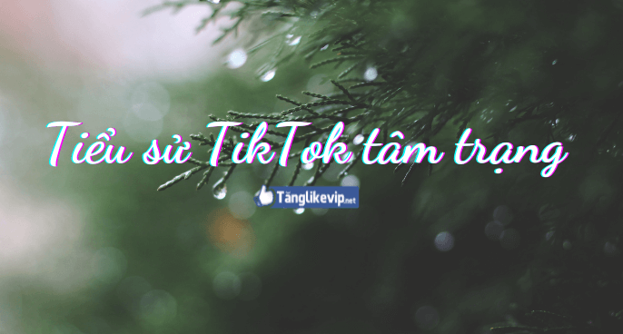 Tiểu Sử Tik Tok Hay Nhất 250+ Tên Tiểu Sử TikTok Độc Đáo Tiểu-sử-Tik-Tok-hay-tâm-trạng