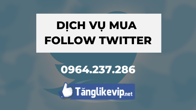 Tang-subscriber-twitter-mua-sub-twitter-gia-re-chat-luong