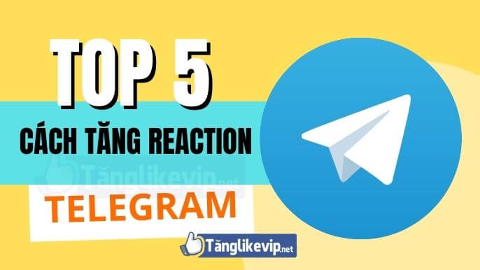 TOP 5 tang reaction telegram cam xuc telegram