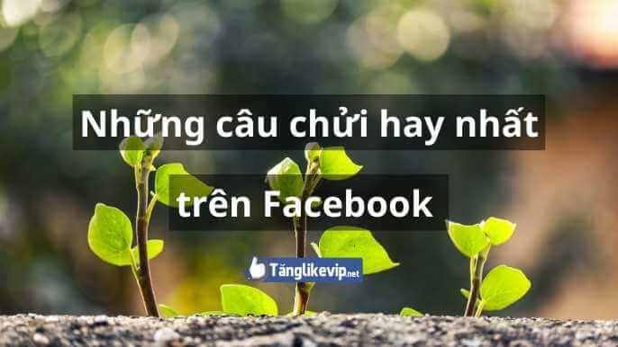 Những câu chửi hay trên Facebook sâu cay và thâm thúy