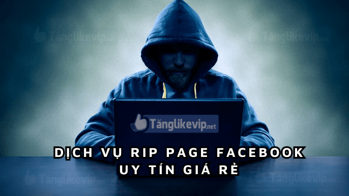 dich-vu-Rip-page-facebook-xoa-bai-viet-facebook