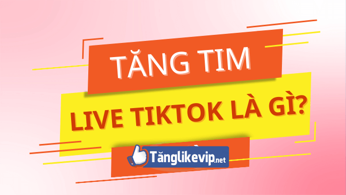 tang-tim-live-tiktok-la-gi